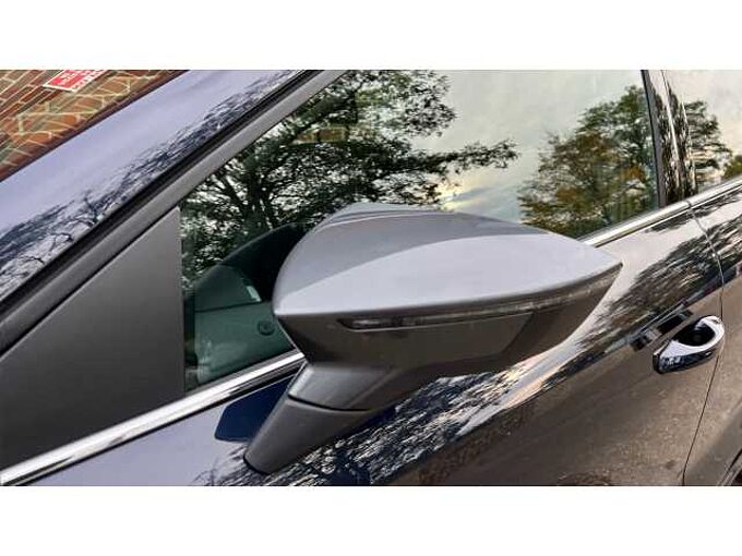 SEAT Ibiza 1.0 TSI 110 Xcellence Lux 5dr DSG